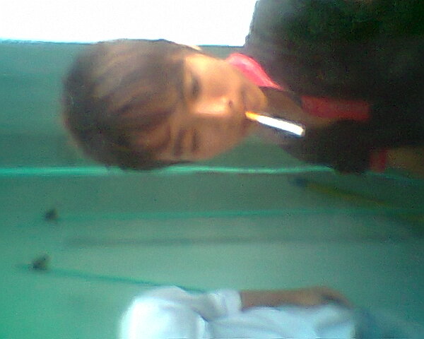 Hinh0050